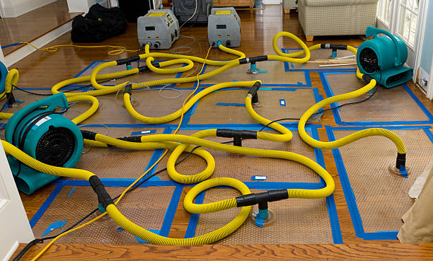 Professional Storm Water Damage Restoration technician working in Paynesville, MN
